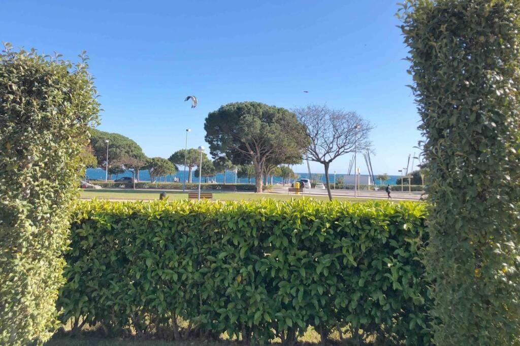 Ferienwohnung Edifici Ciutadella Cambrils Exterior foto